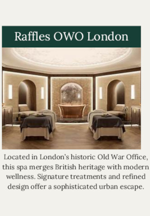 Raffles OWO London